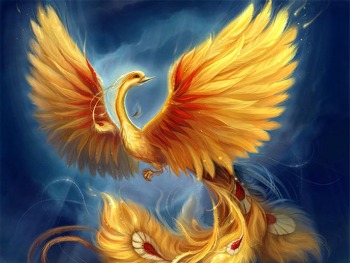 Phoenix of feniks